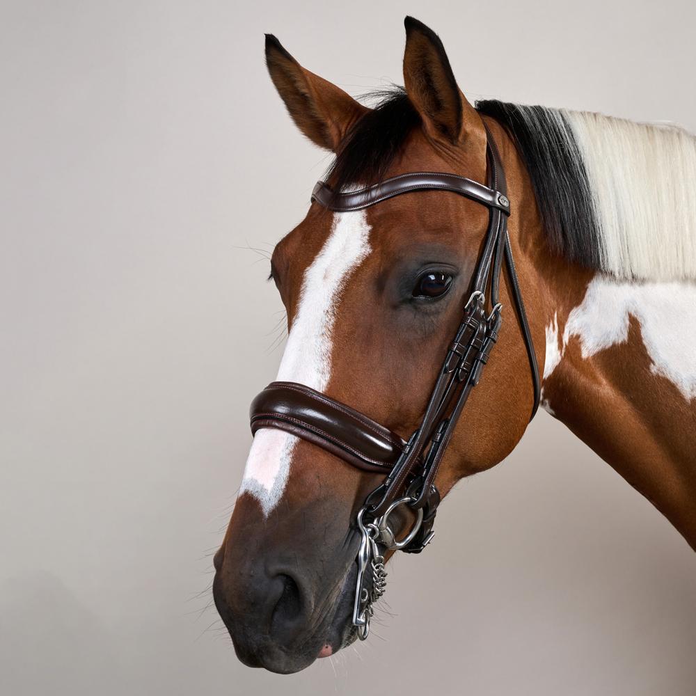 Kandare mit breitem schwedischem Reithalfter