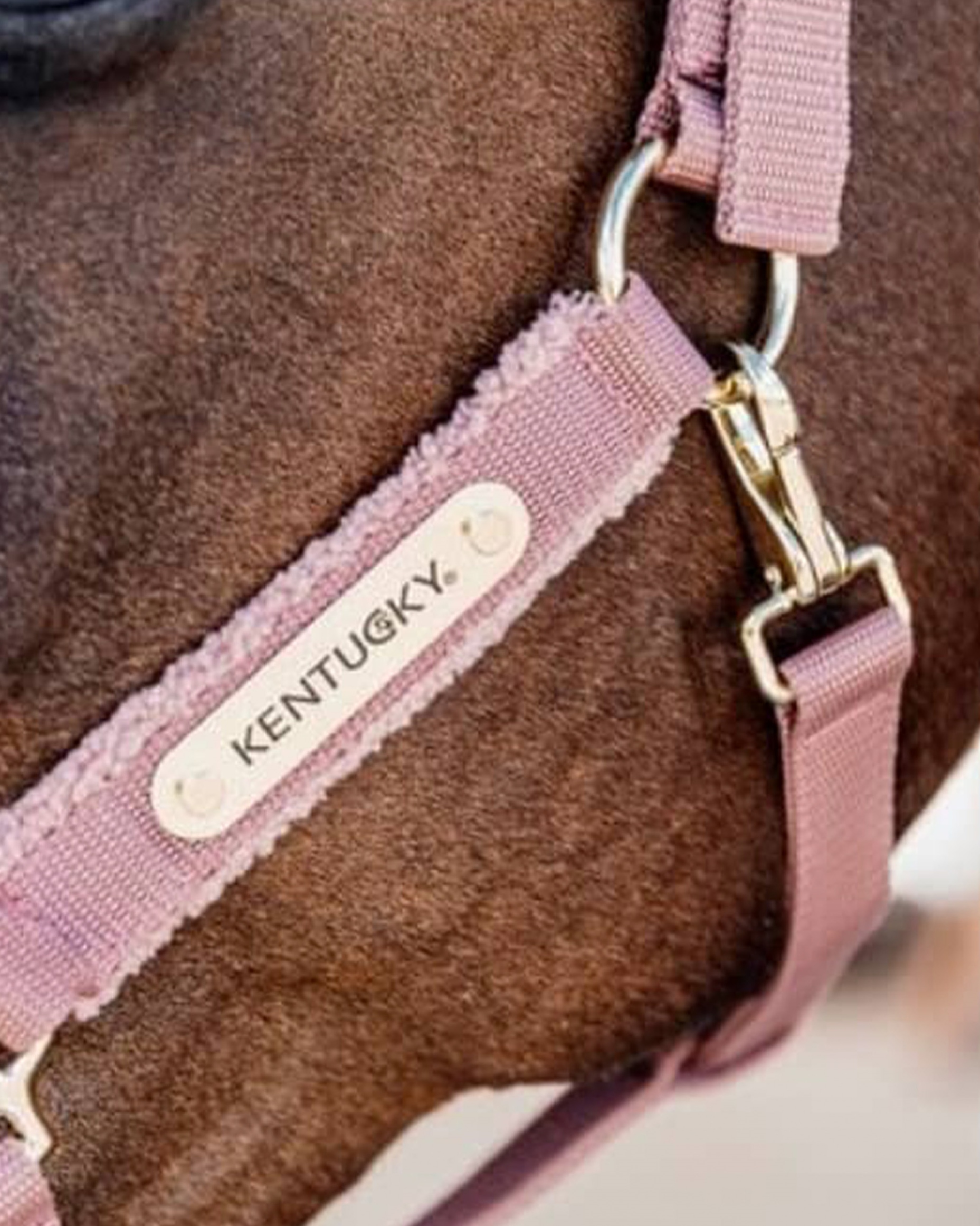 Halter Teddy Fleece
