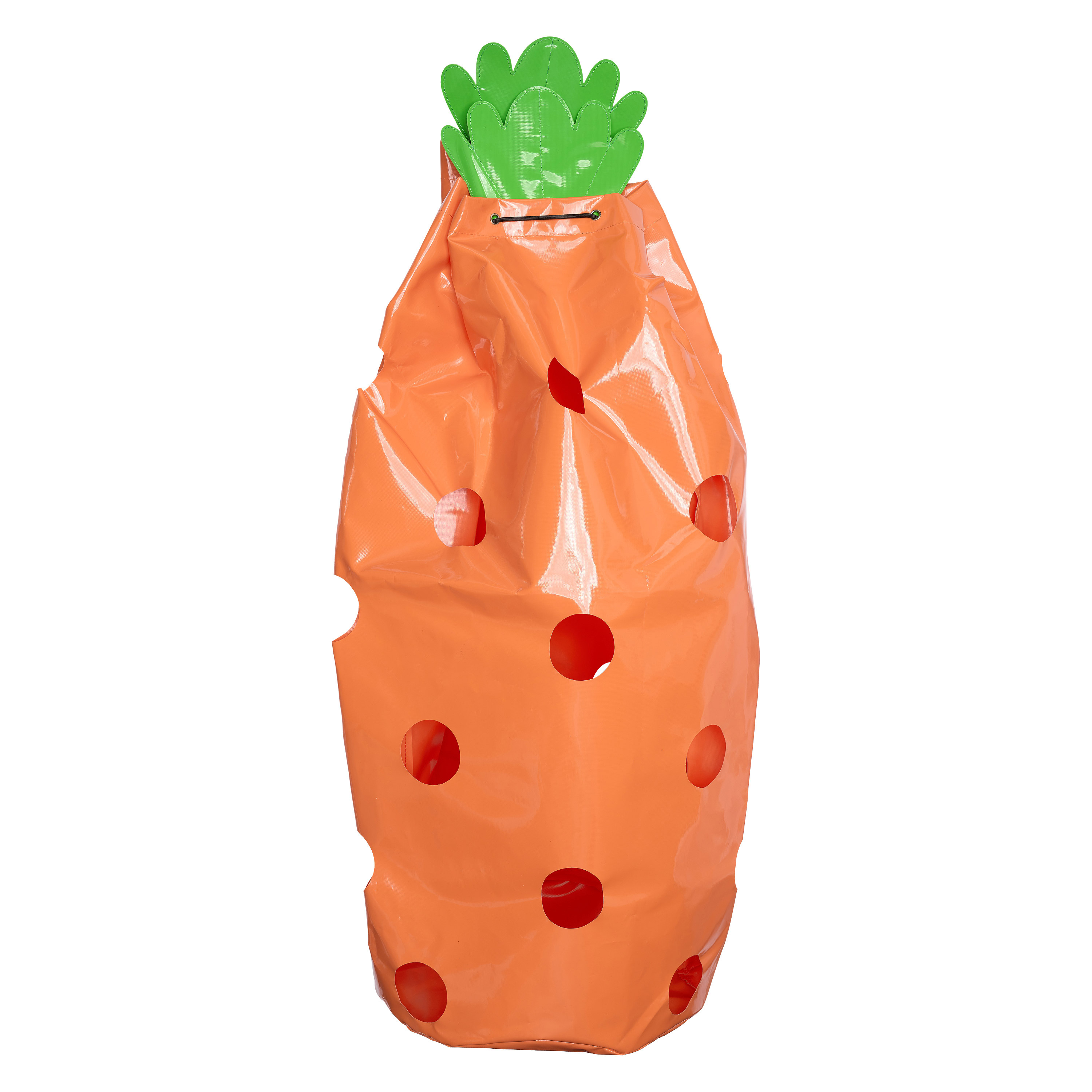 Heutasche Carrot