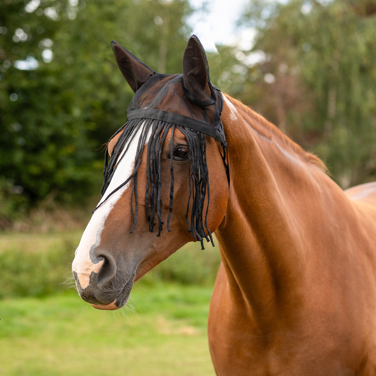 Fly fringes with ears