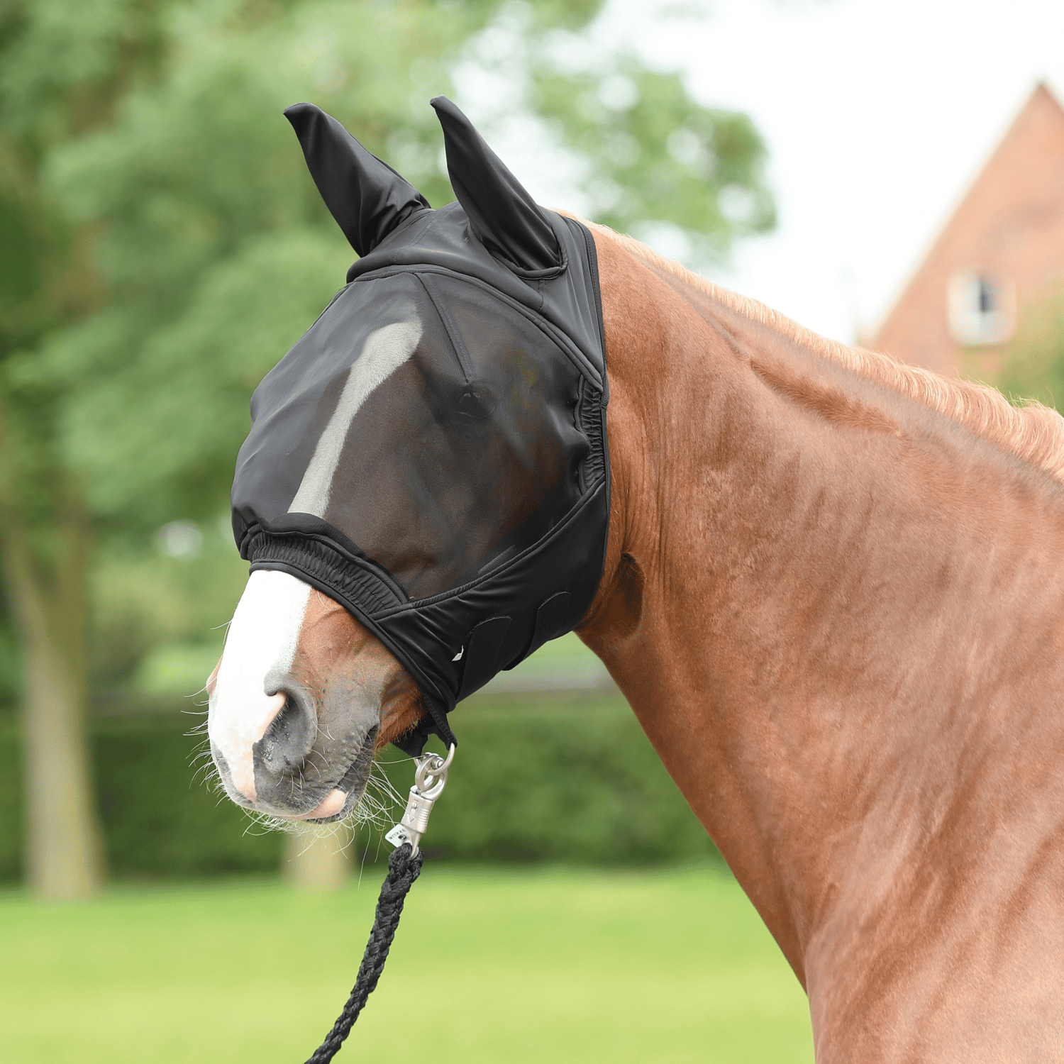 Fliegenmaske Fly Buckler