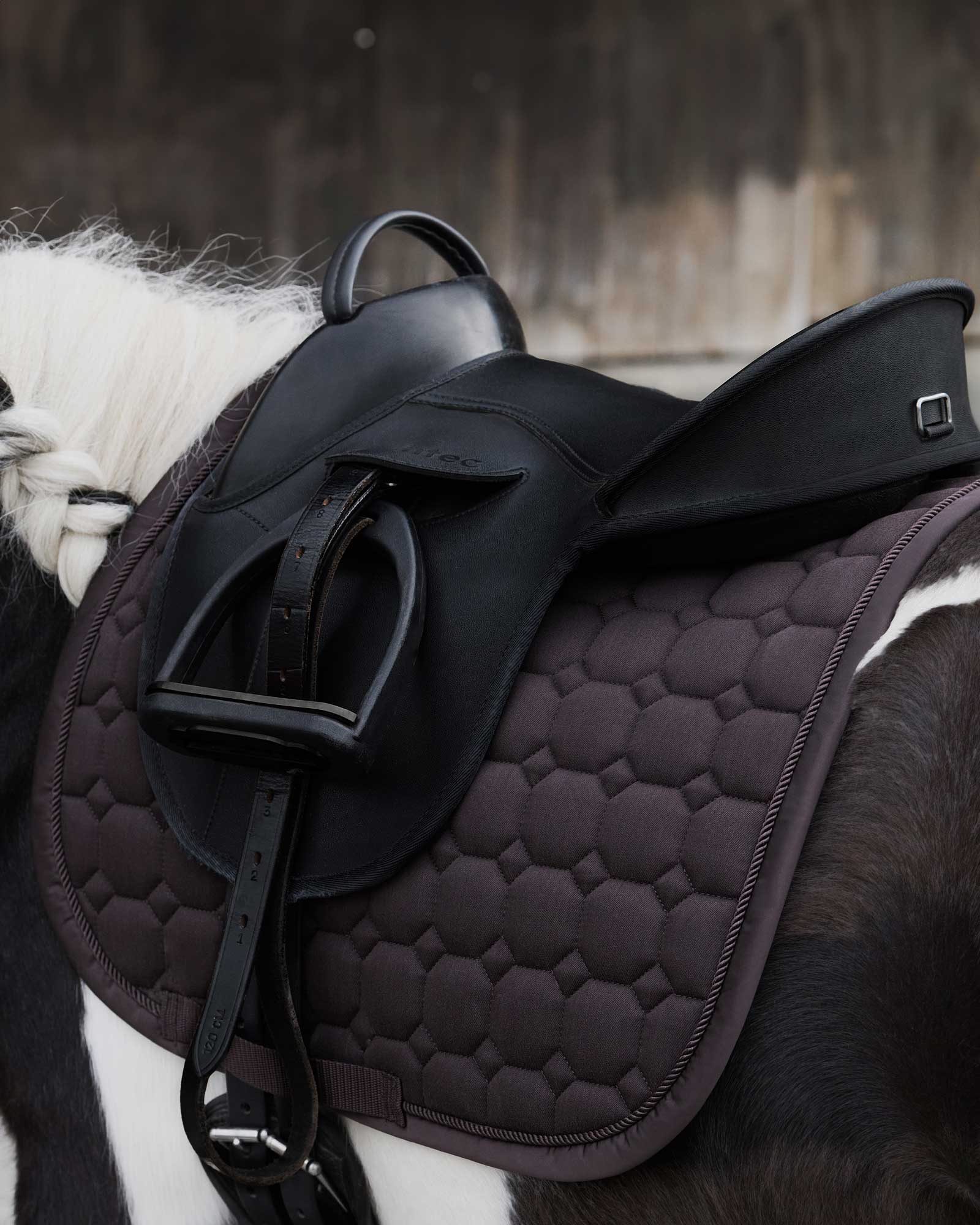Saddle pad Cotton Glitter Shetty Platinum