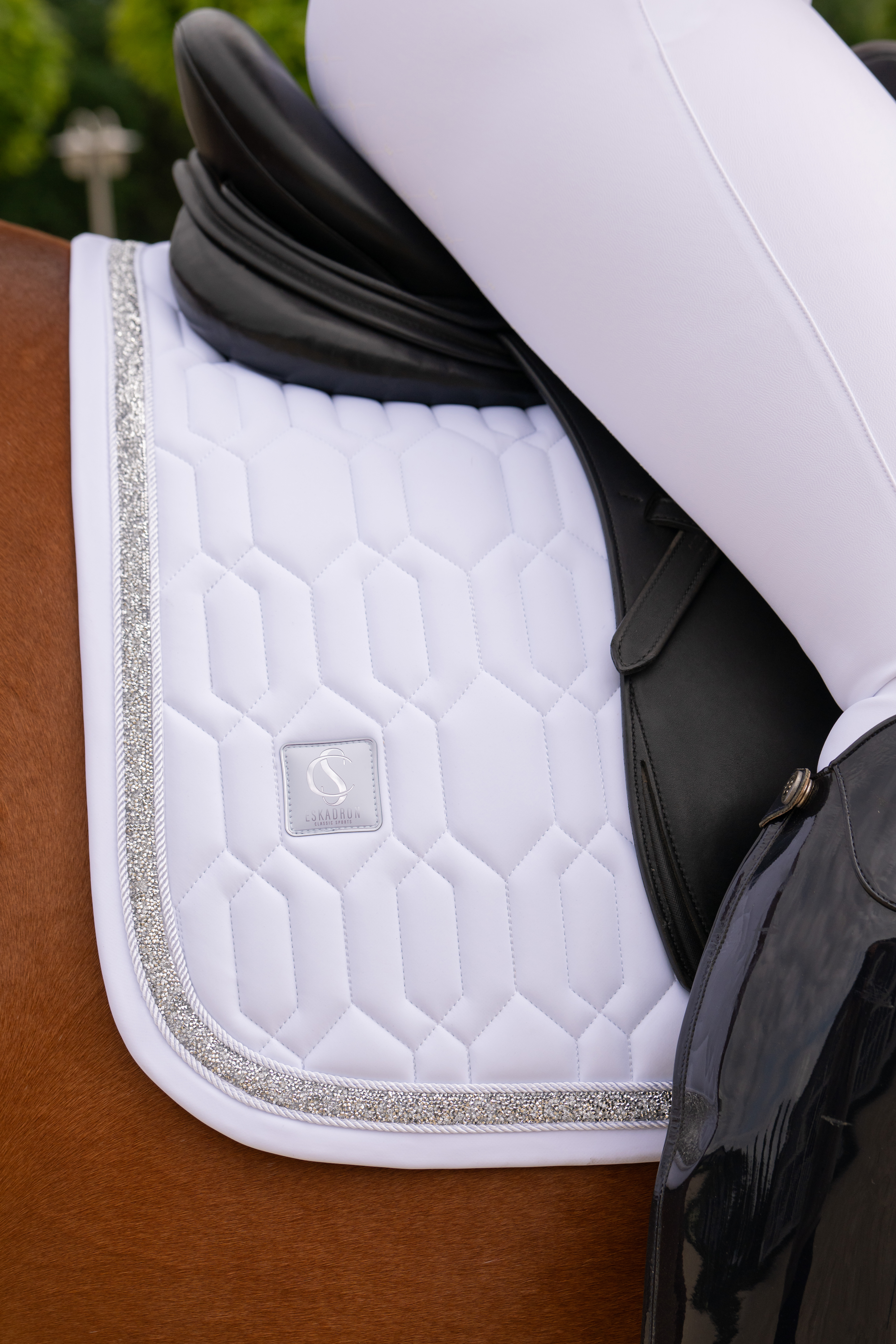 Schabracke Classic Sports Softshell Jewel