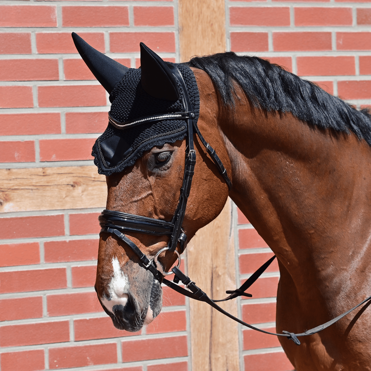 Fliegenohren Calm II