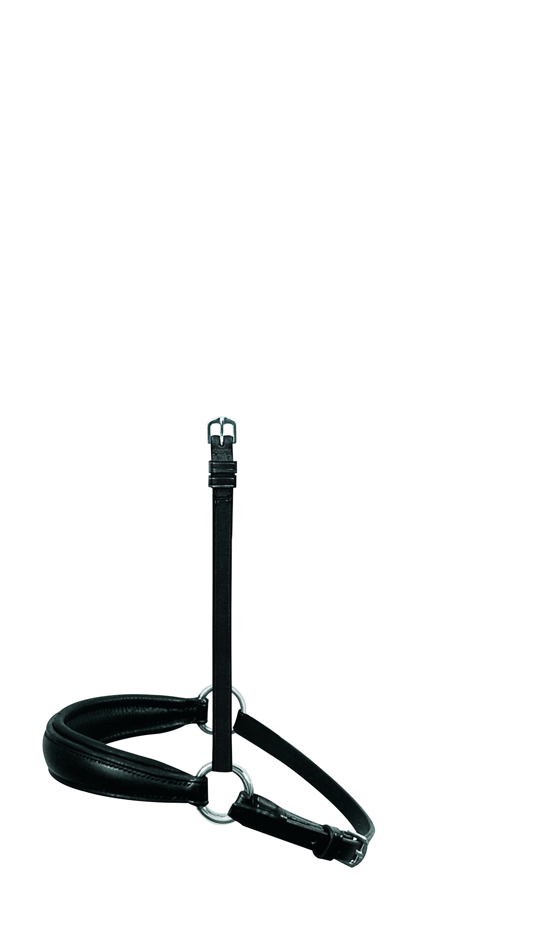 Hanoverian noseband
