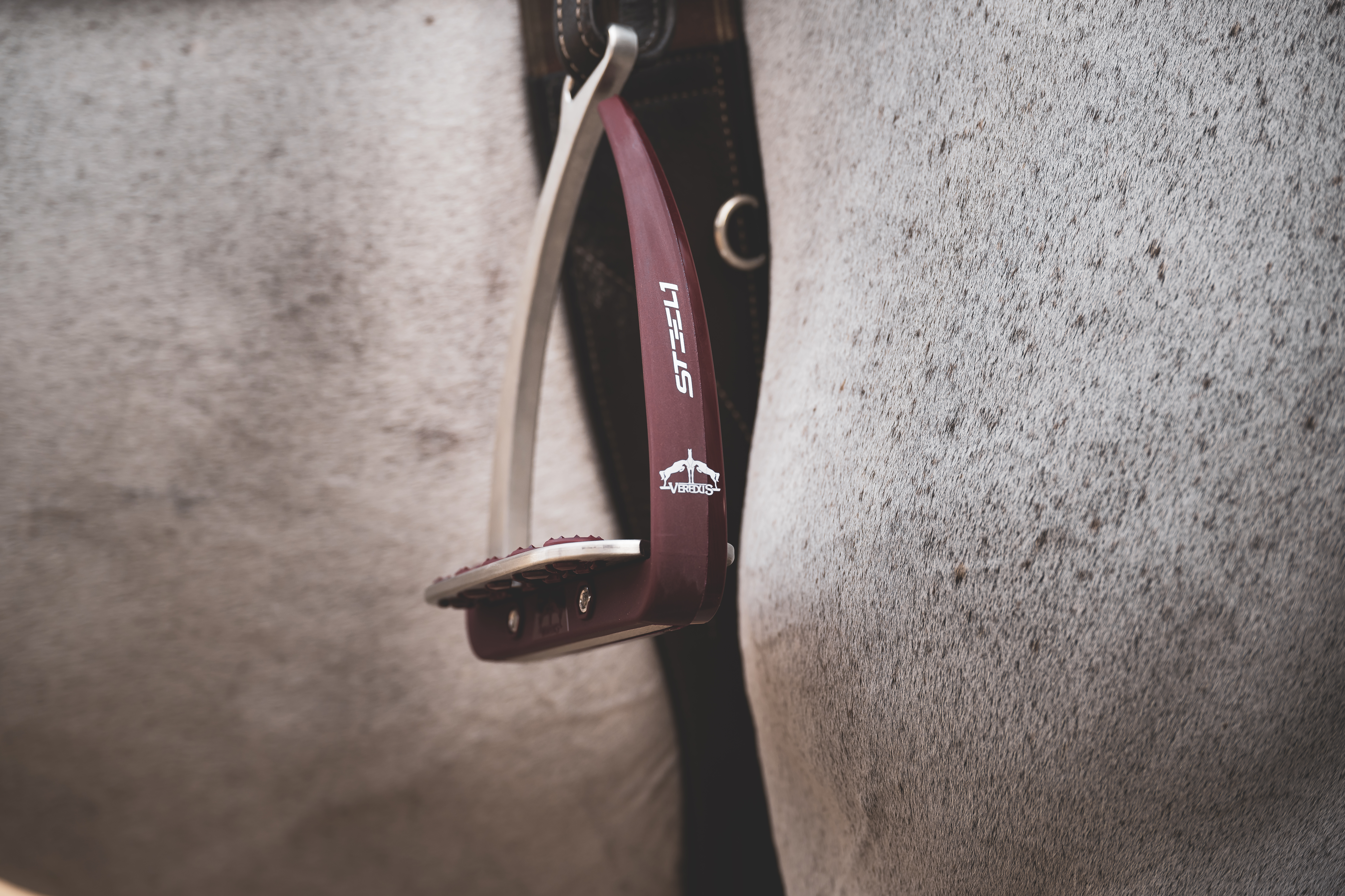 Set Steel 1 Steigbügel, Schabracke und Cap