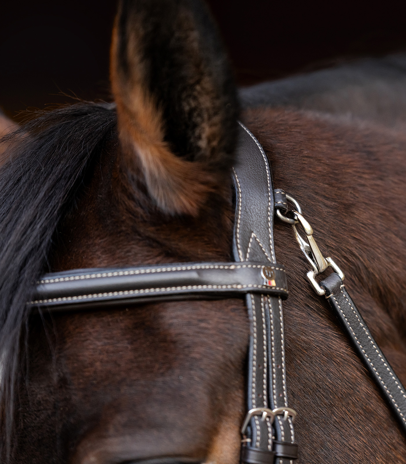 Snaffle bridle Work Waldhausen X-Line
