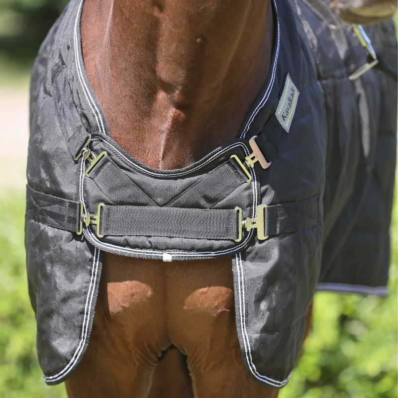 Couverture d'étalon "Stallion"-plastron 200g