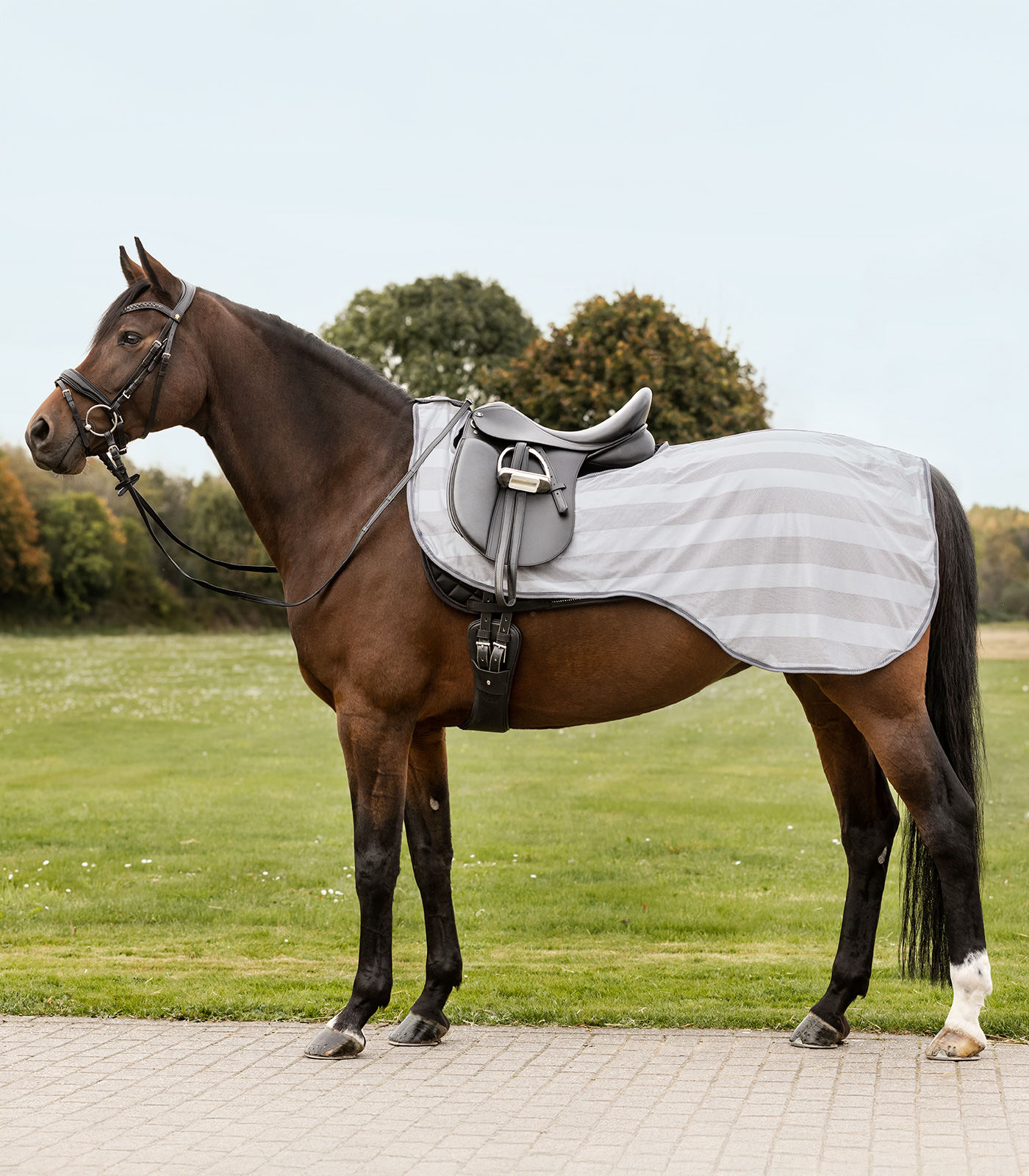 Fliegen-Ausreitdecke Economic