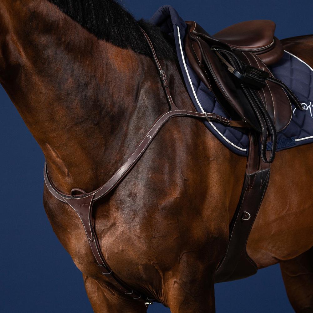 Vorderzeug mit langer Brücke