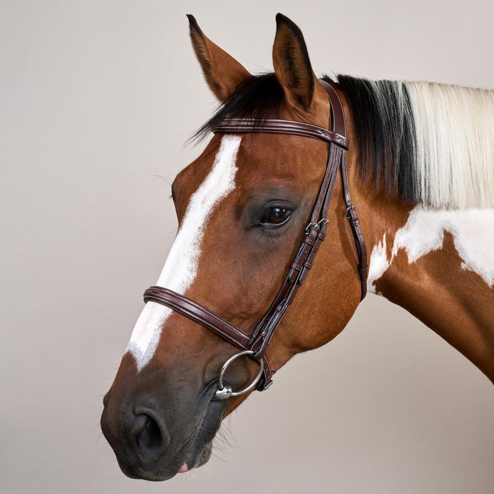 Trense mit Cavesson Reithalfter US