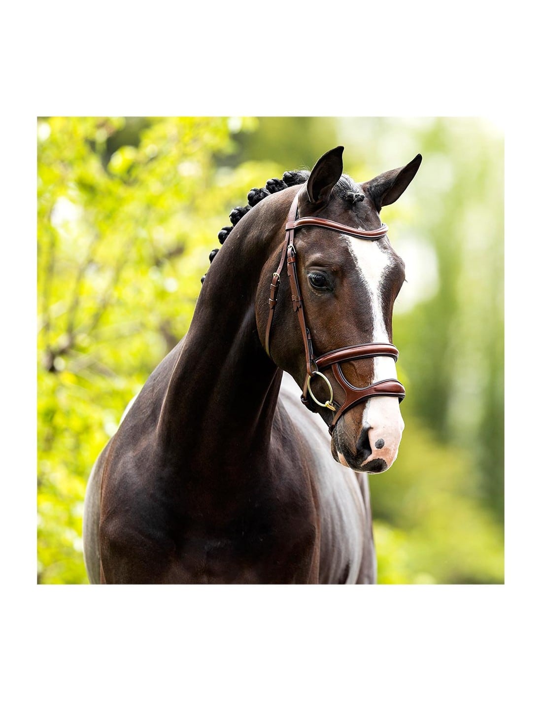 Bath snaffle bridle in oak/silver Bath snaffle bridle in oak/silver