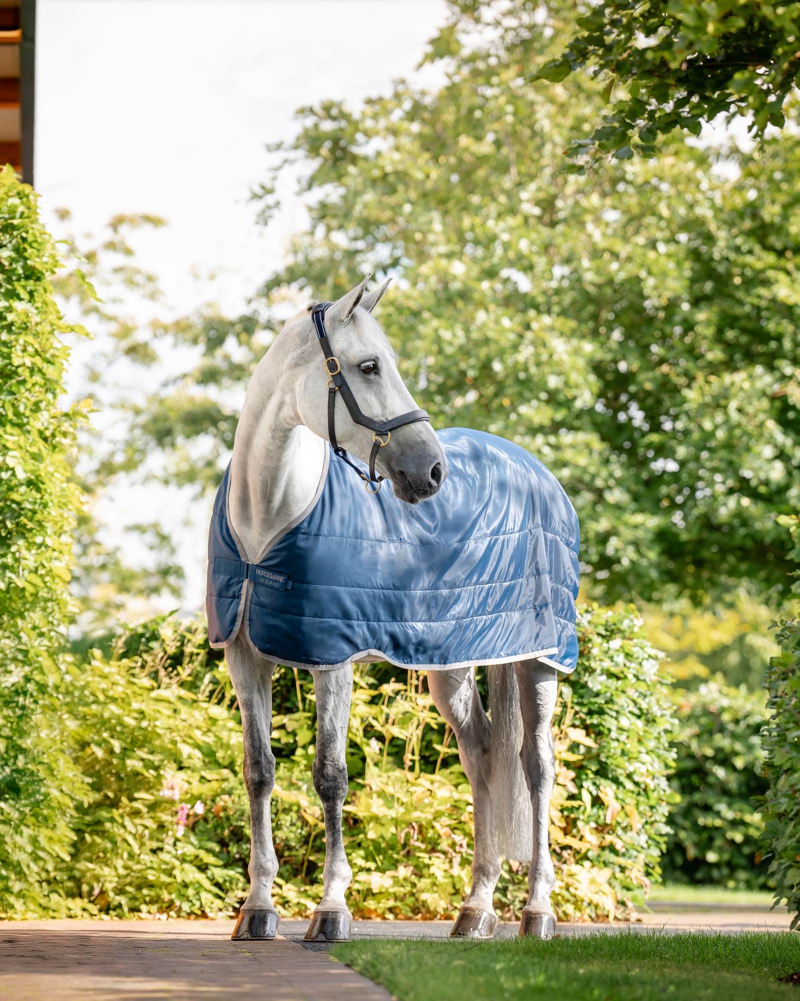 Liner Ionic Therapy 50g in imperial blue