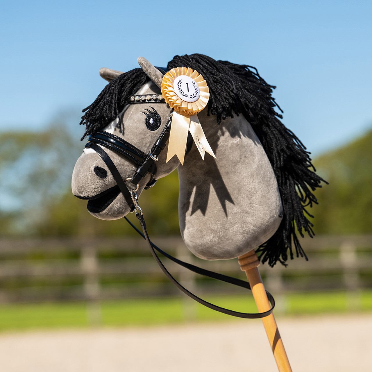 Rosetten-Set Hobby horse