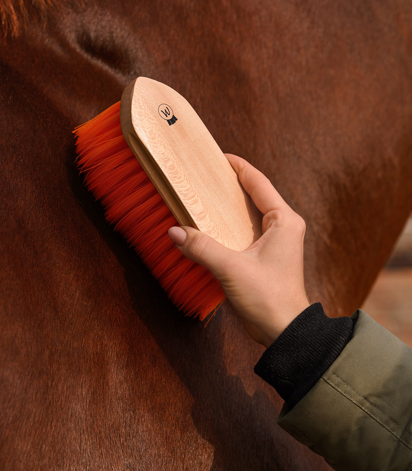 Mane Brush Colorcare soft