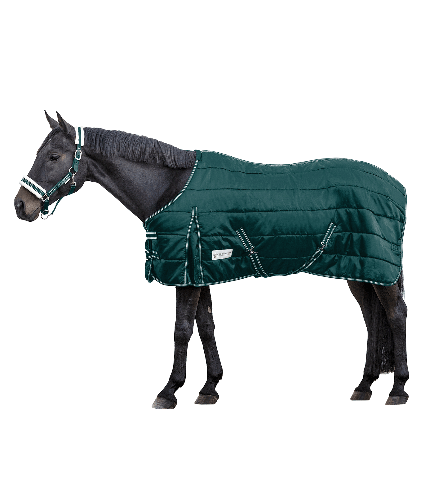 Stable blanket Economic 200 g