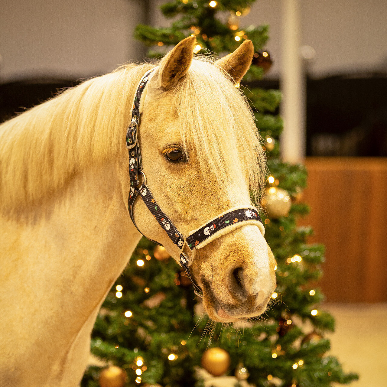Christmas halter