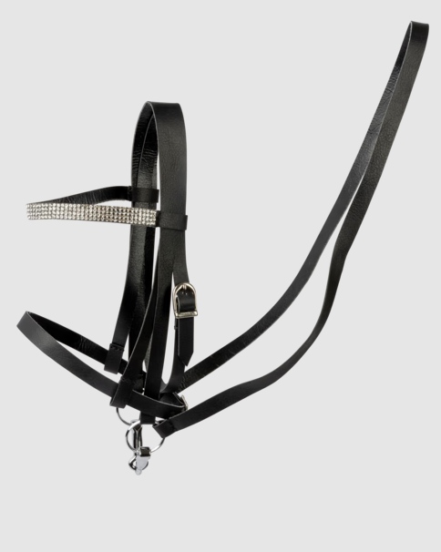 Snaffle Hobby Horse