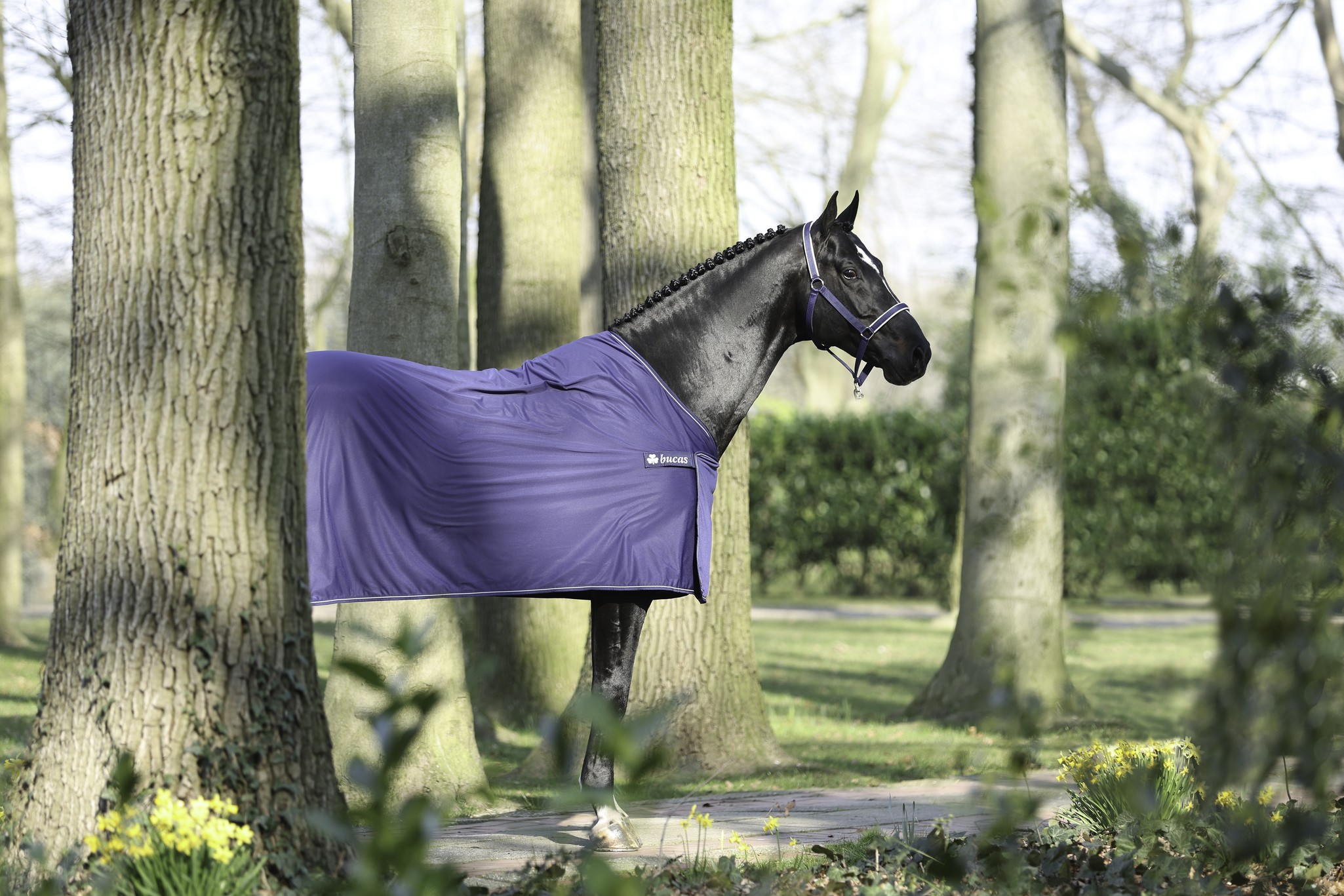Abschwitzdecke Panel Prize Cooler in Navy/Silver