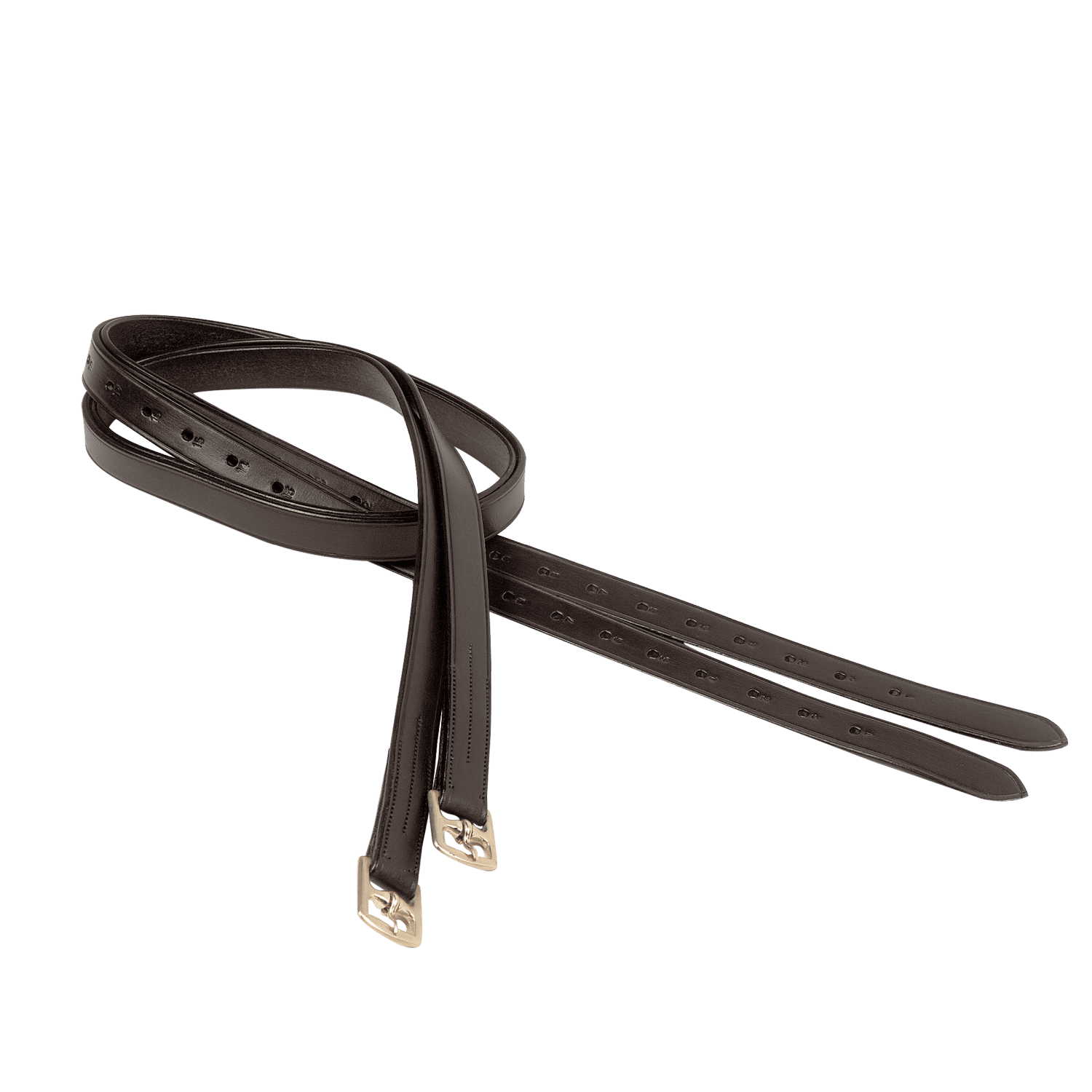 Stirrup leathers Professional