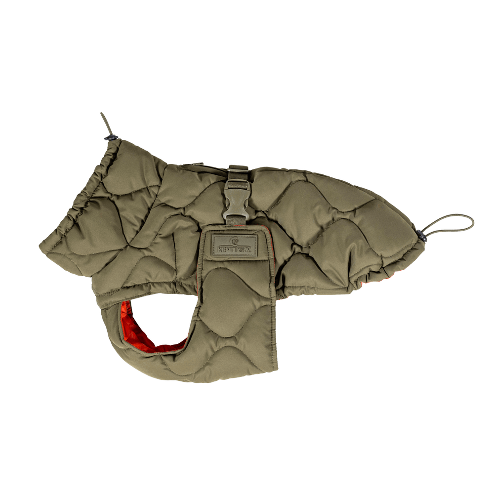 Hundemäntel Winter Pina