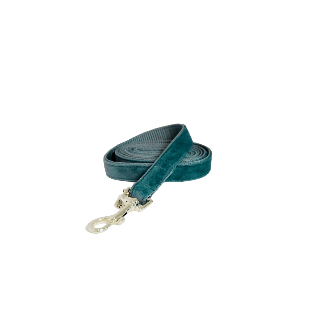 Hunde Leine Velvet 120 cm