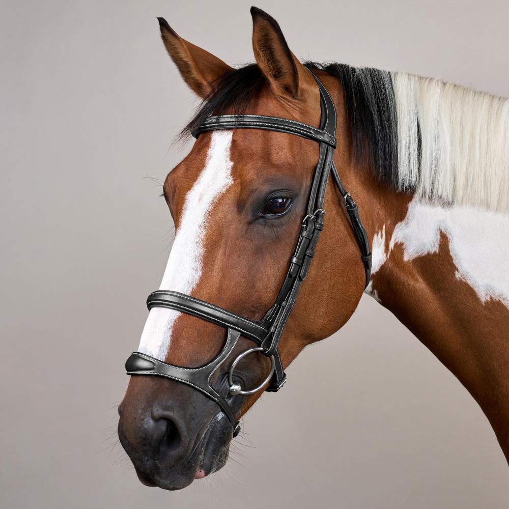 Trense mit Doppelreithalfter US