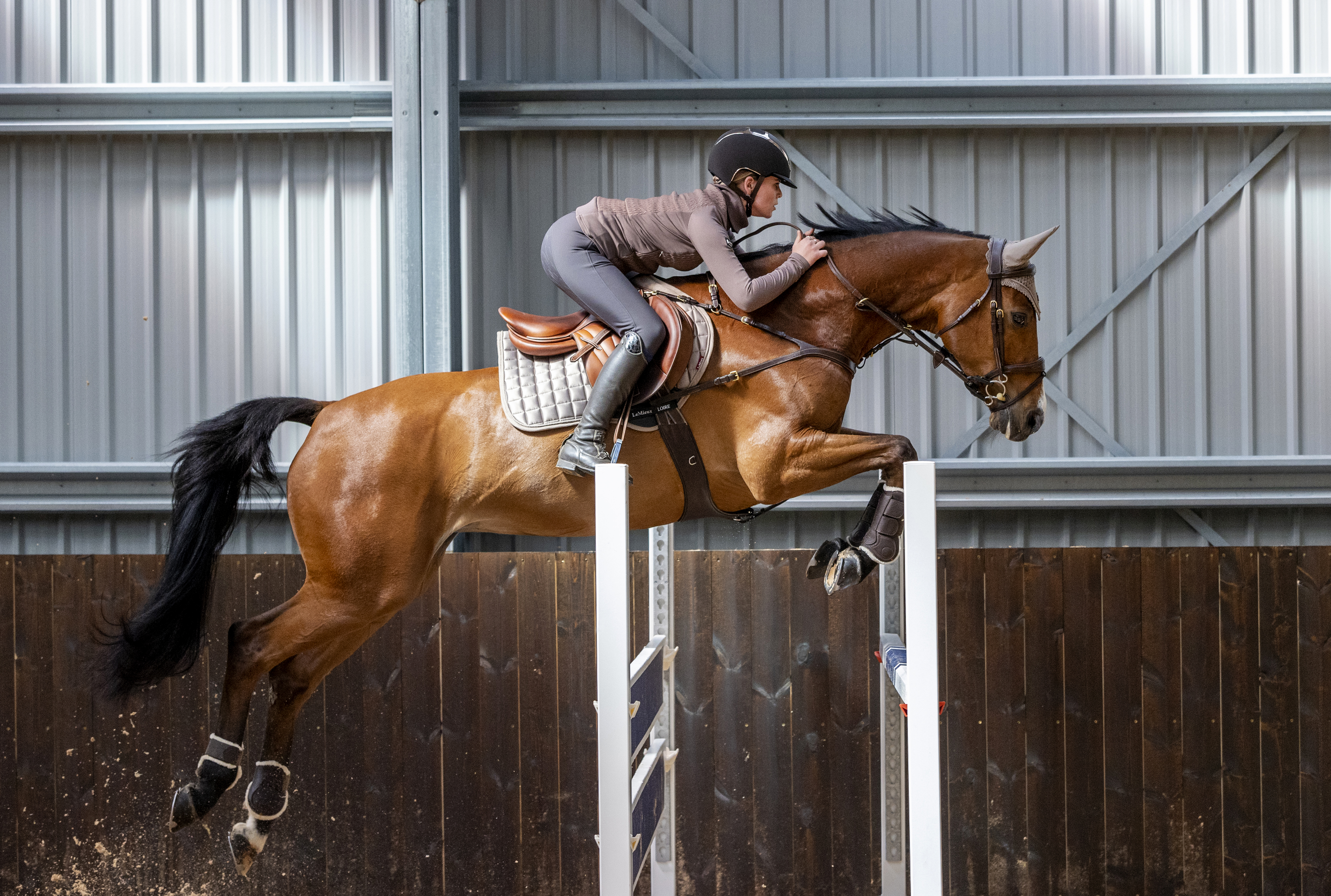 Jumping saddle pad Loire Classic Satin in Mink