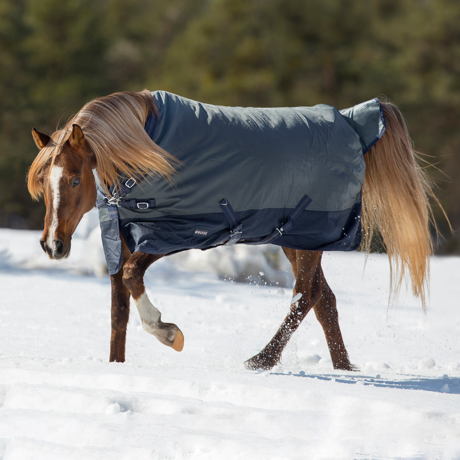 Outdoordecke Active Pro 150