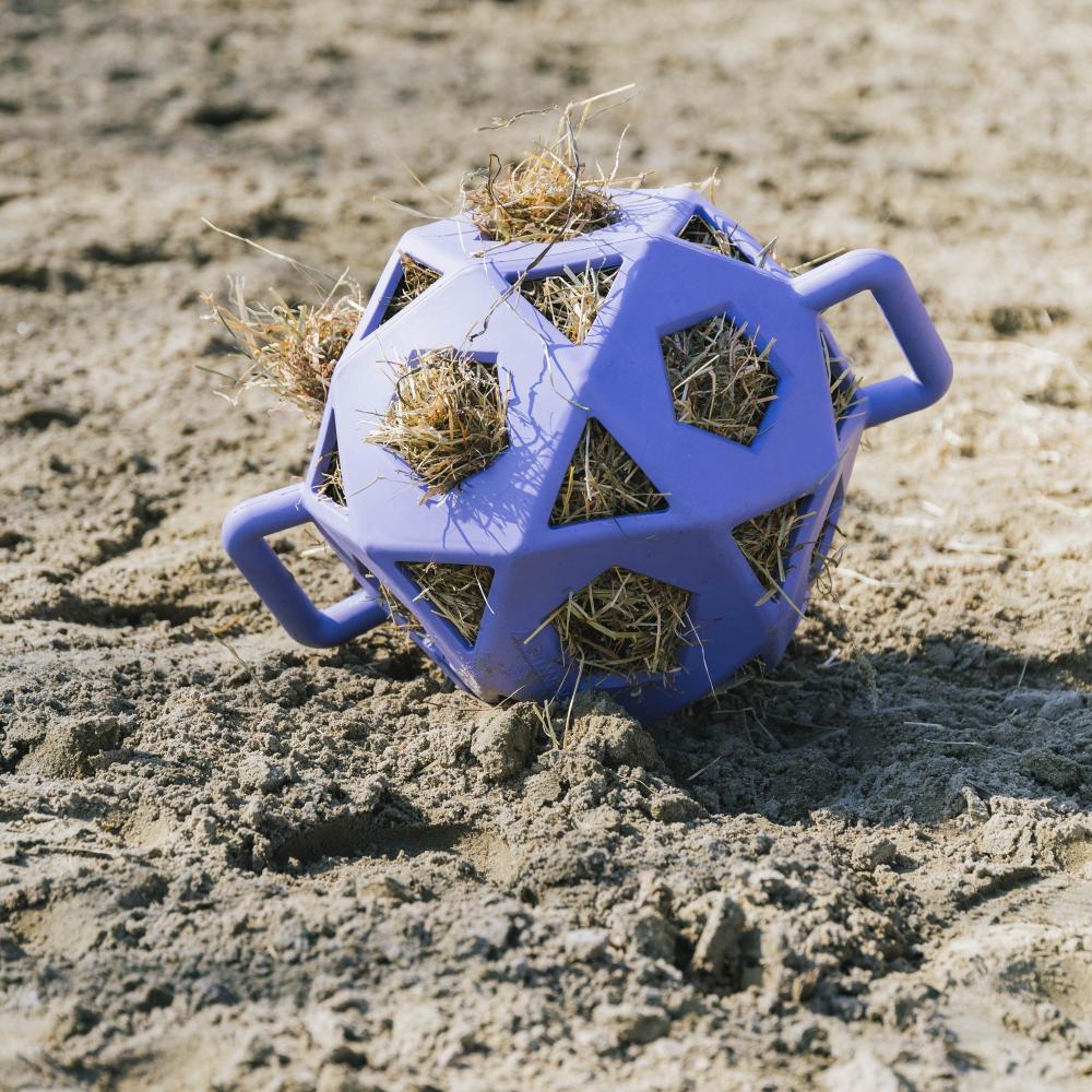 Relax horse game & hay ball