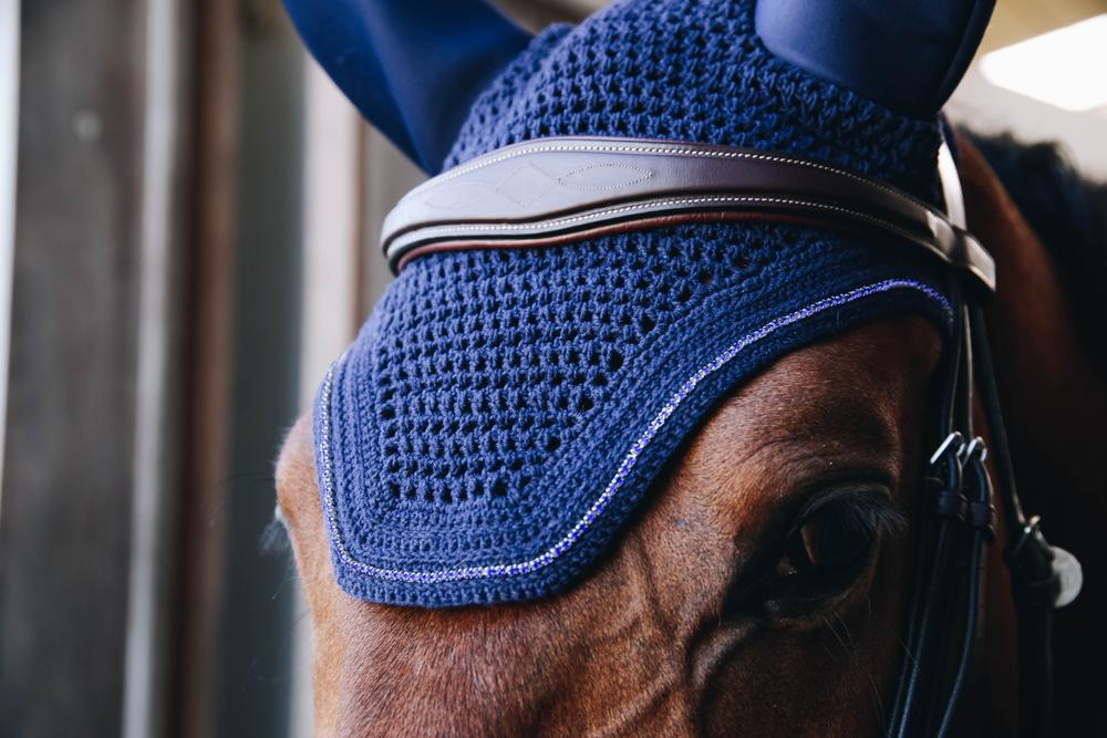 Fliegenhaube Wellington Sparkling
