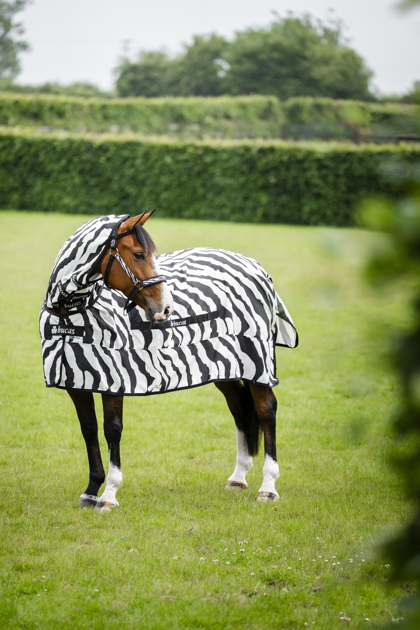 Fliegendecke Sweet Itch Rug in Zebra/Black