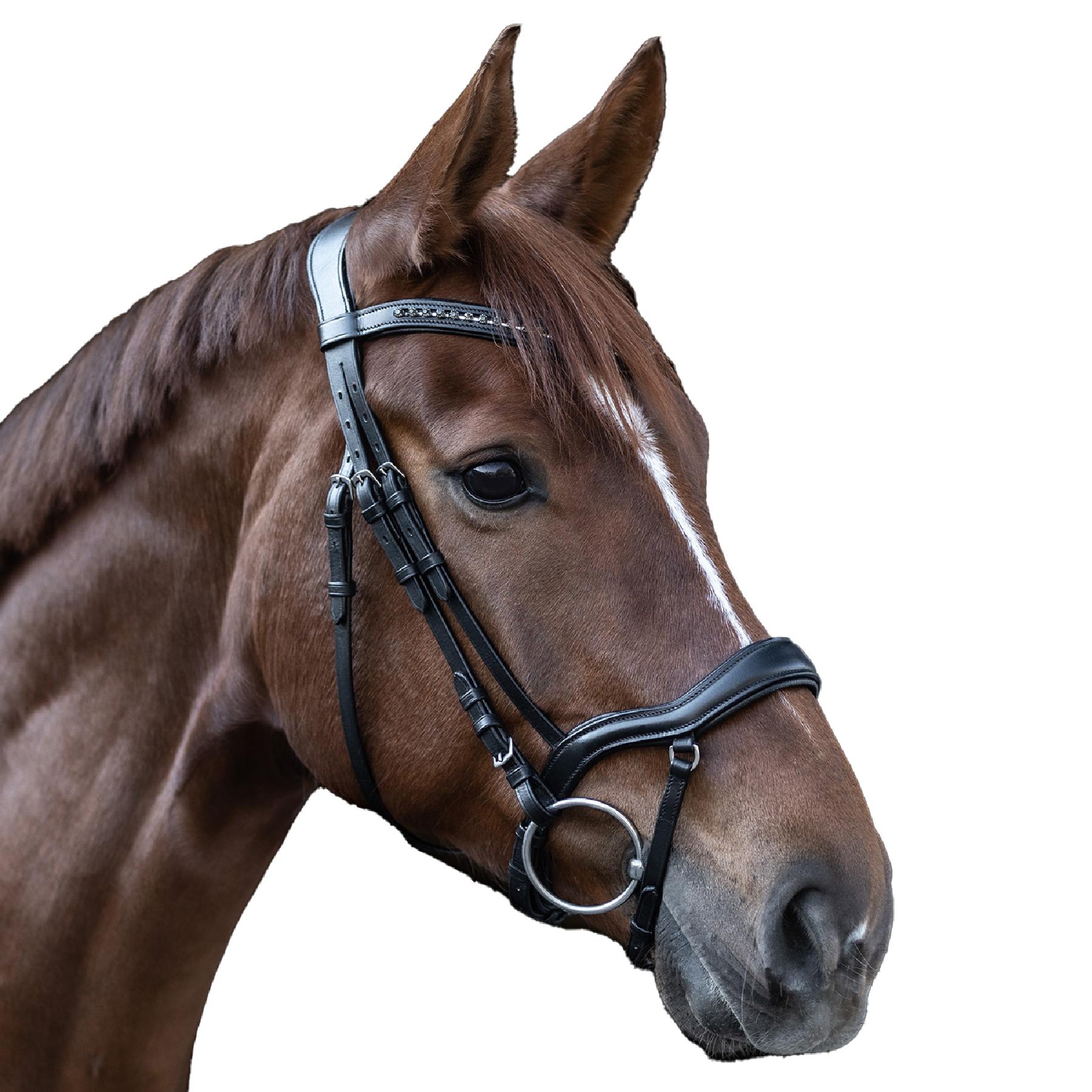 Trensenzaum X-Line New Shape II