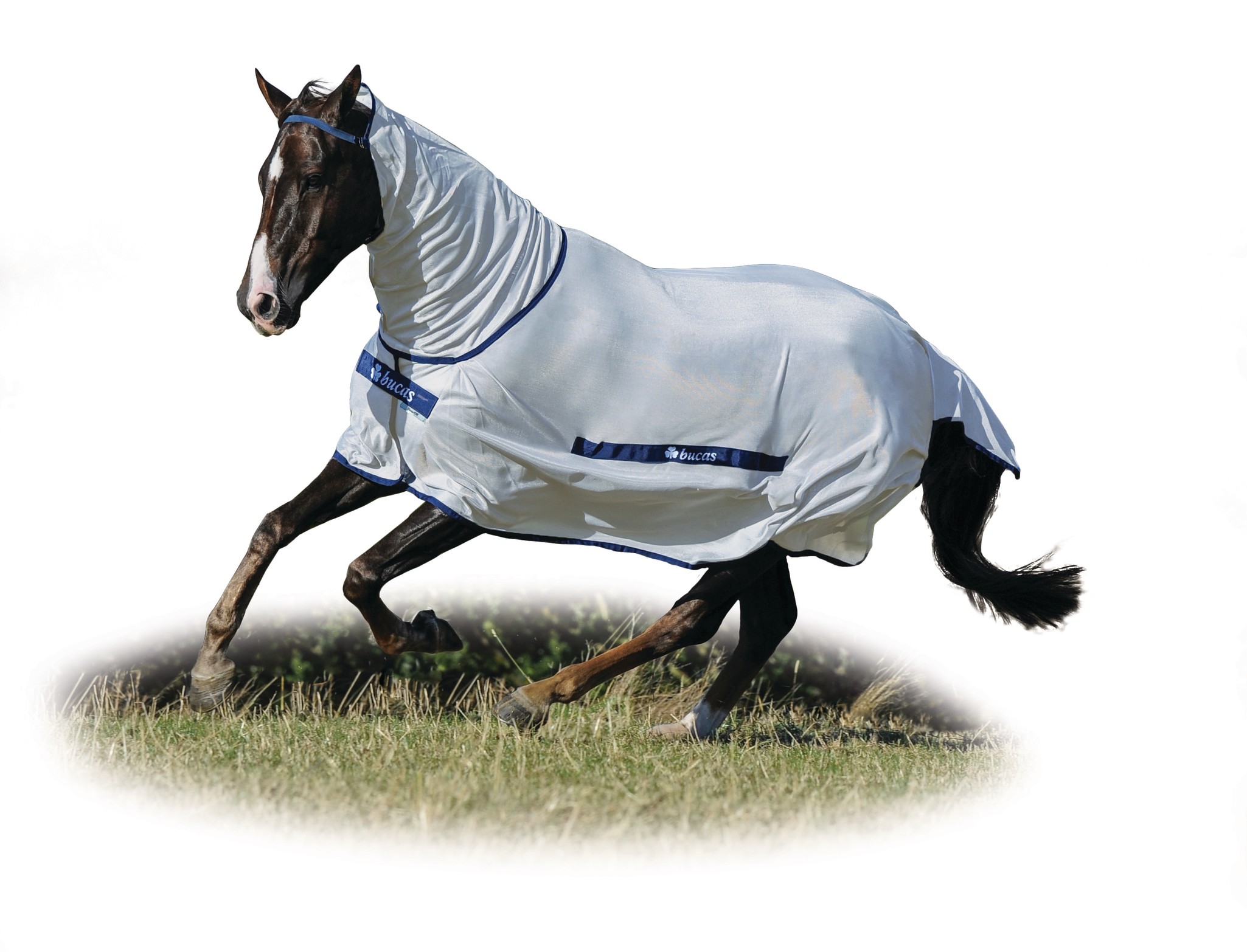 Halsteil Buzz-Off Full Neck in Blue