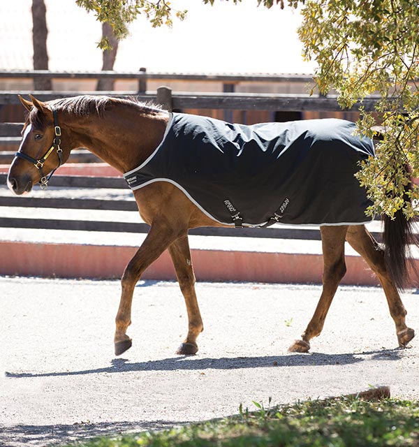 Horse walker rug Amigo Walker 200g in Black/Silver