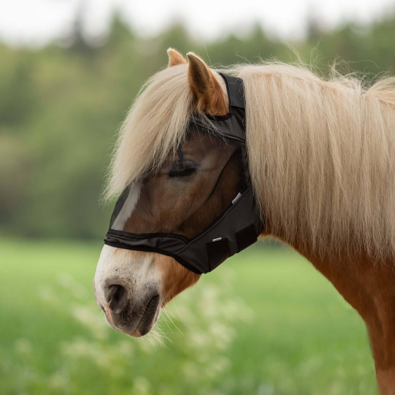 Fliegenmaske Fly Guard Free Fliegenmaske Fly Guard Free