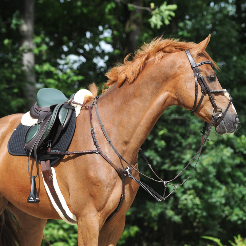 Langgurt geöltes Leder "Comfort"-Kunstfell-Elast