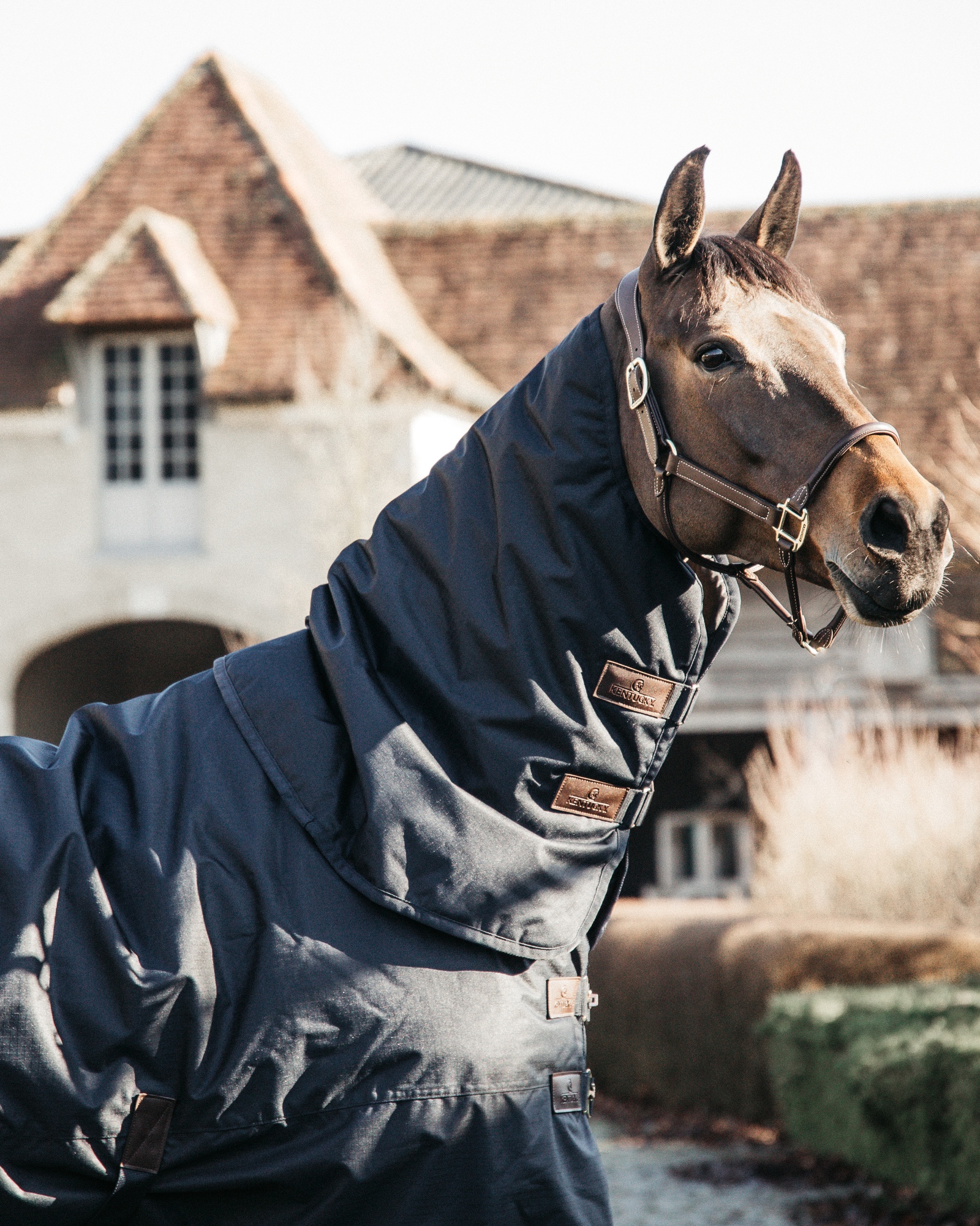 Outdoor rug All Weather waterproof Classic 300g