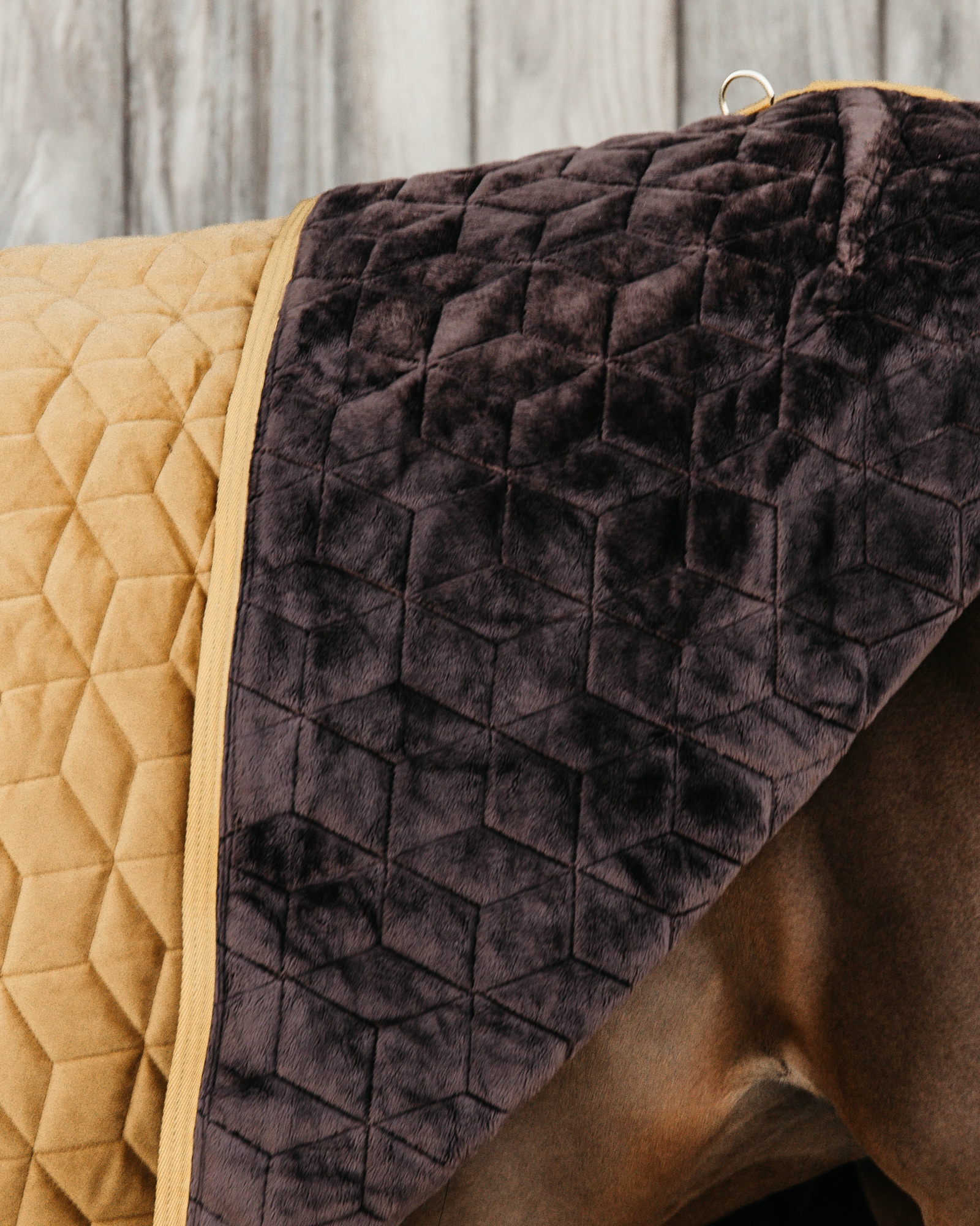 Show rug Show Rug Velvet 160g