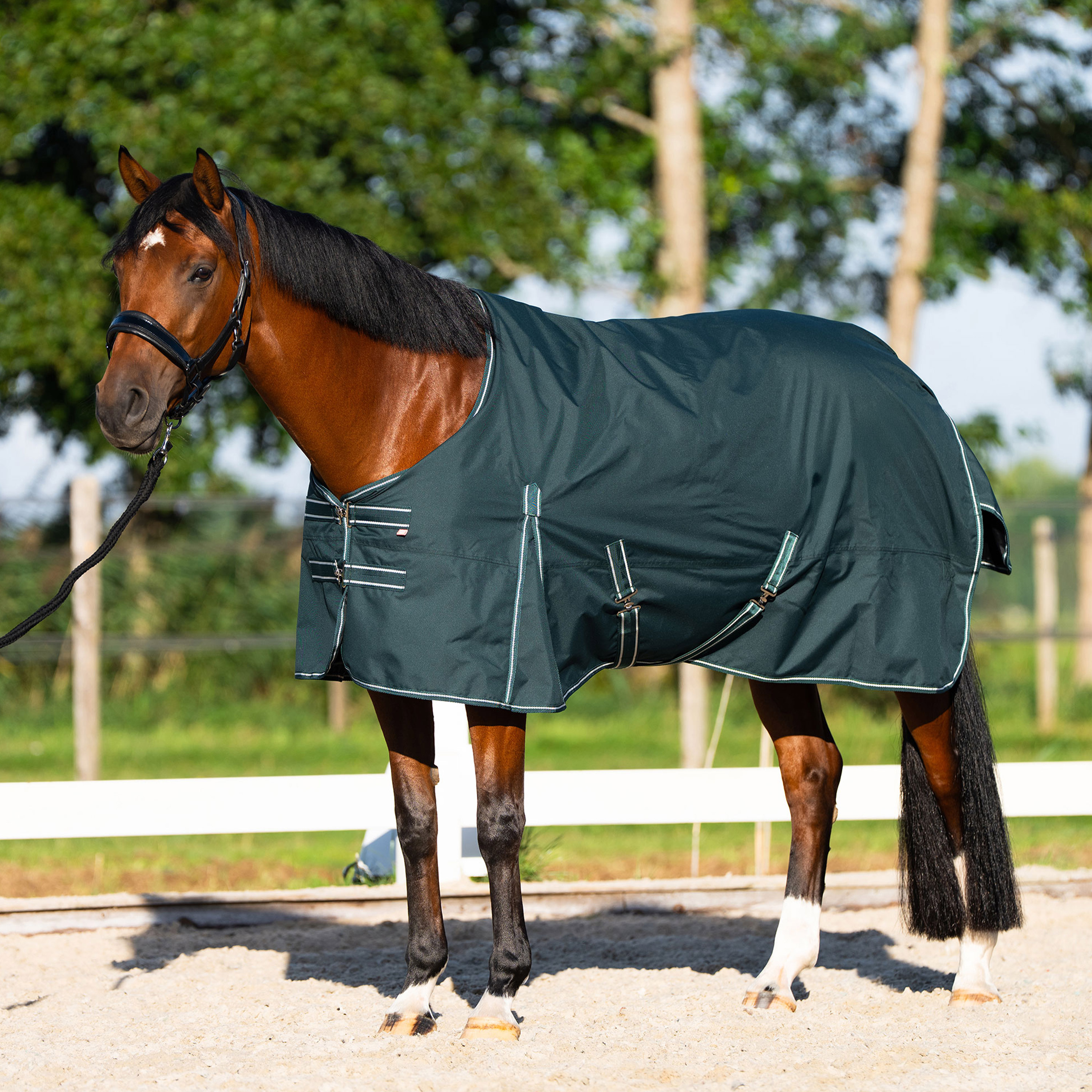 Outdoordecke Basic ohne Halsteil Sommer