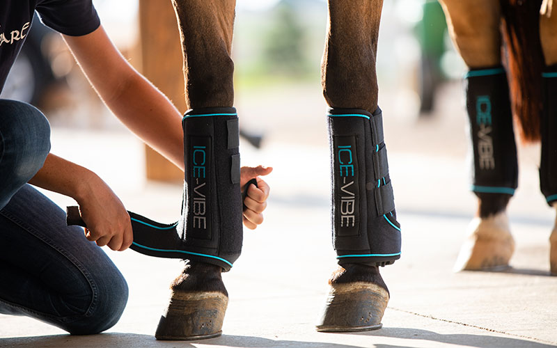 Horseware Ice-Vibe Ice Vibe Gamaschen an Pferdebein anlegen