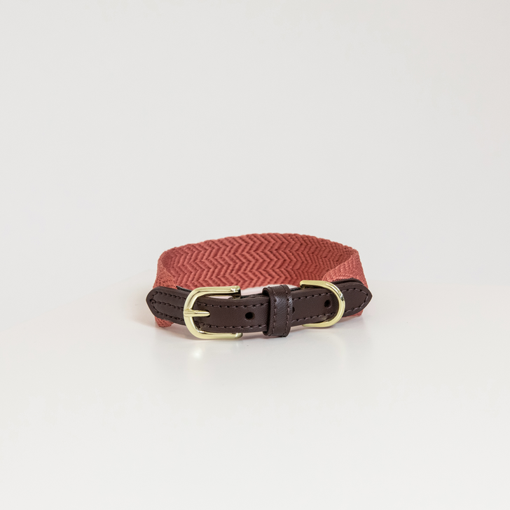 Hundehalsband Jacquard Hundehalsband Jacquard
