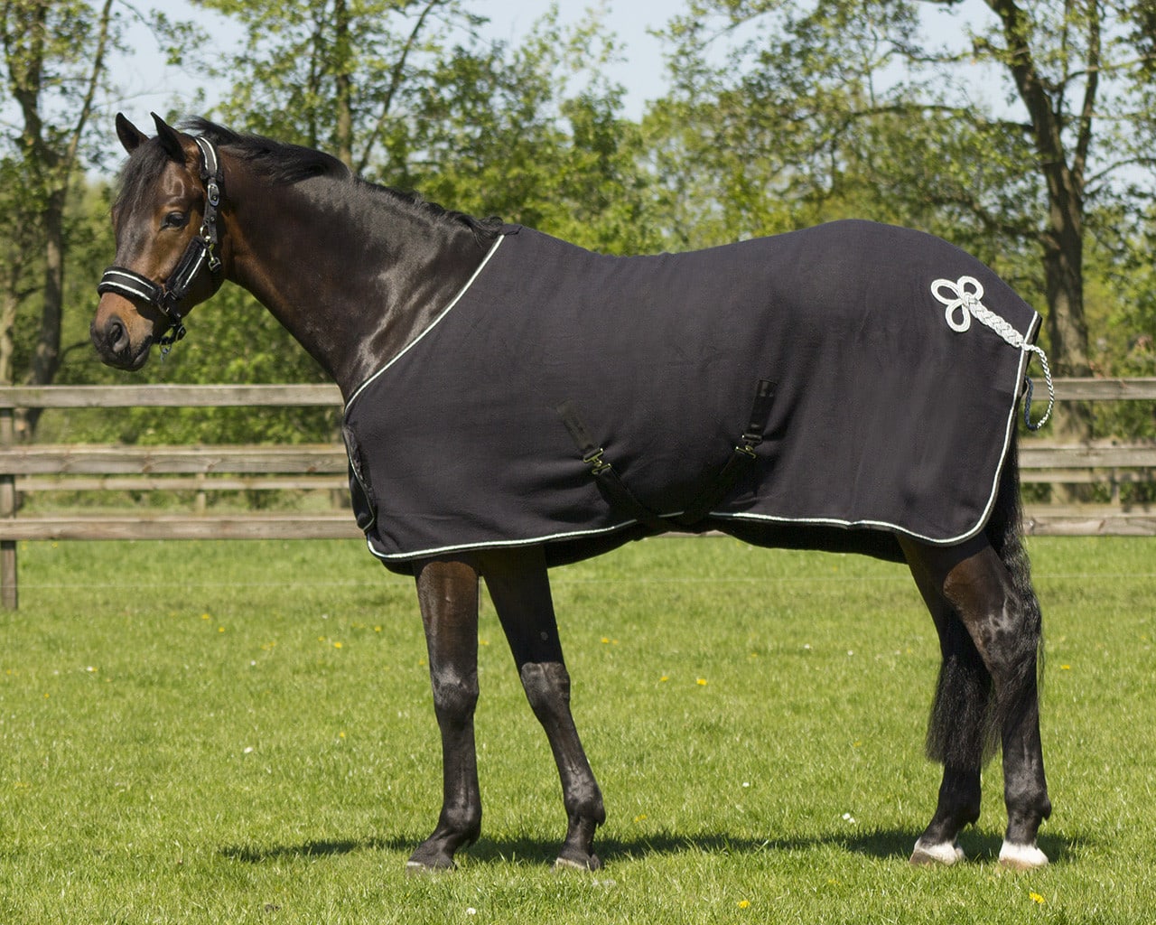 Sweat rug with ornament