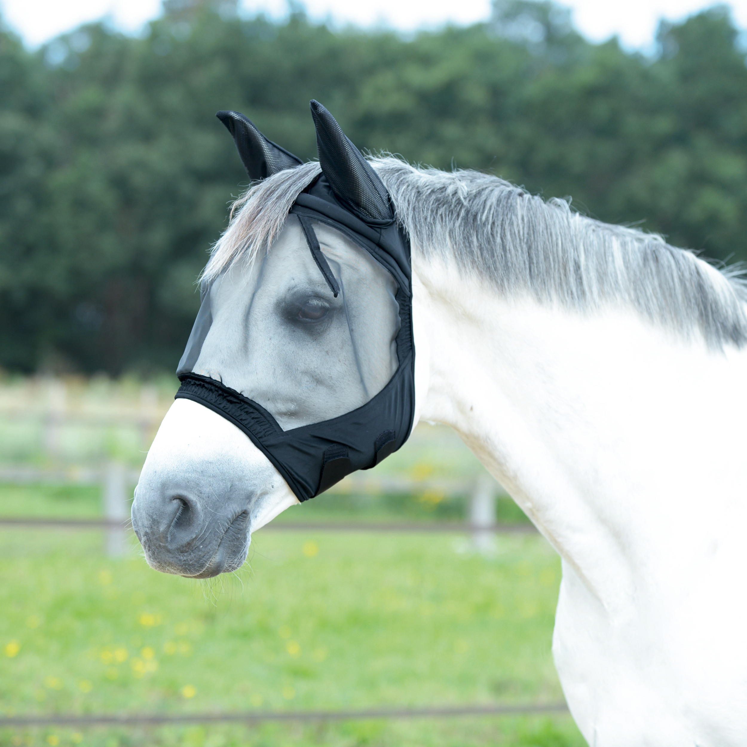Masque anti-mouches Fly Buckler Gap II