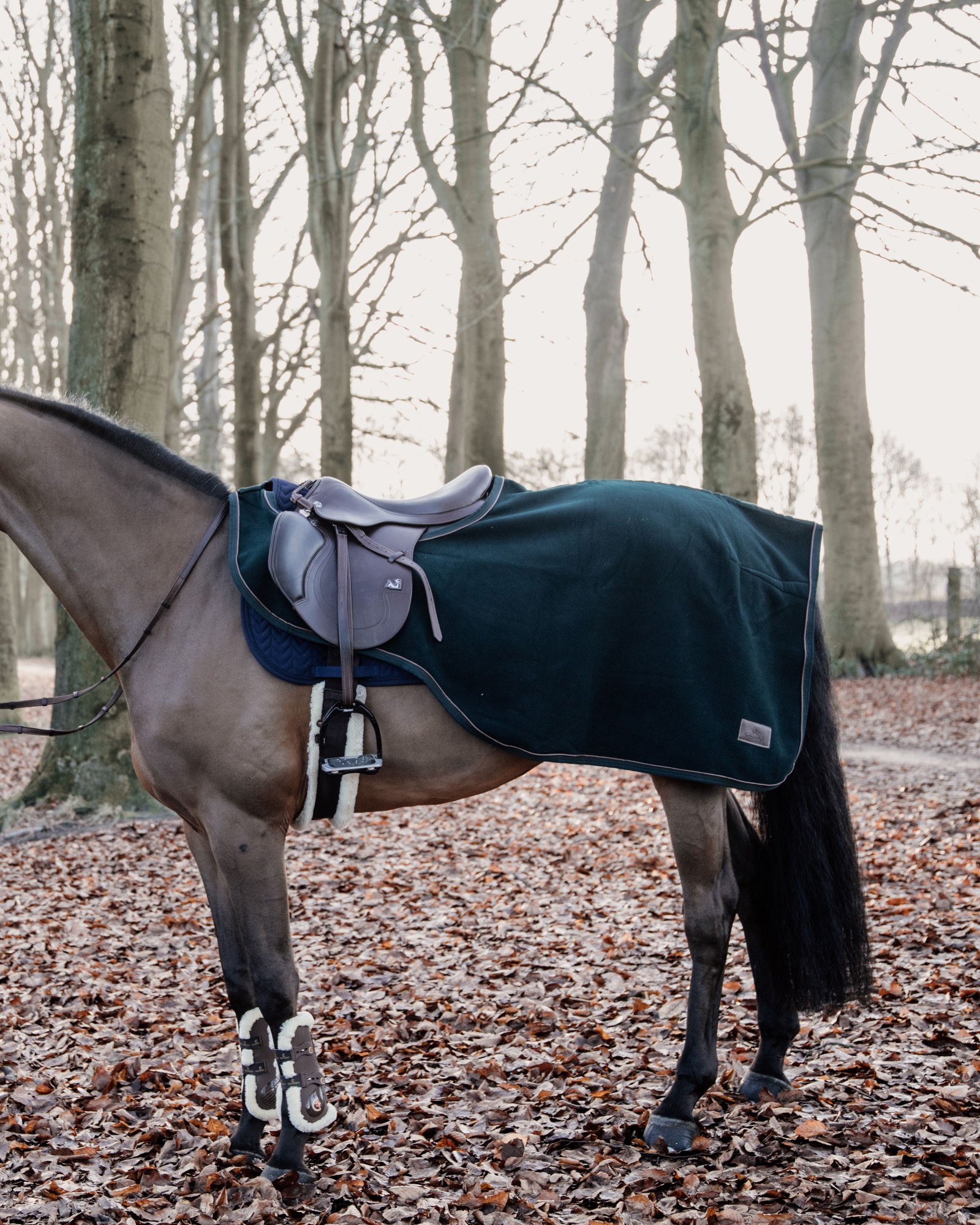 Riding rug heavy fleece