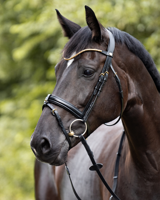 Trense "Clinchesse" eng.-komb.