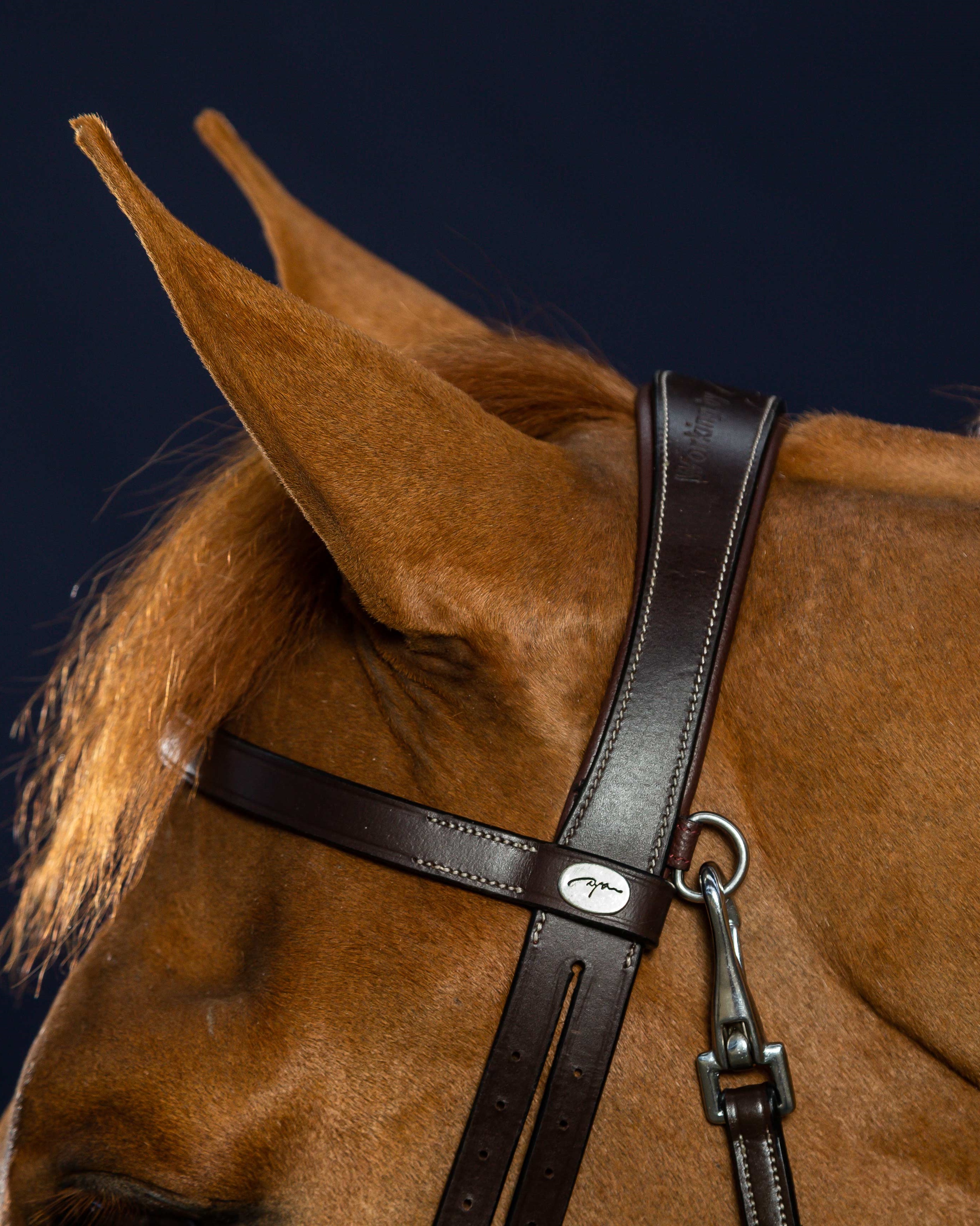 Bridle made of flat leather with carabiners in black