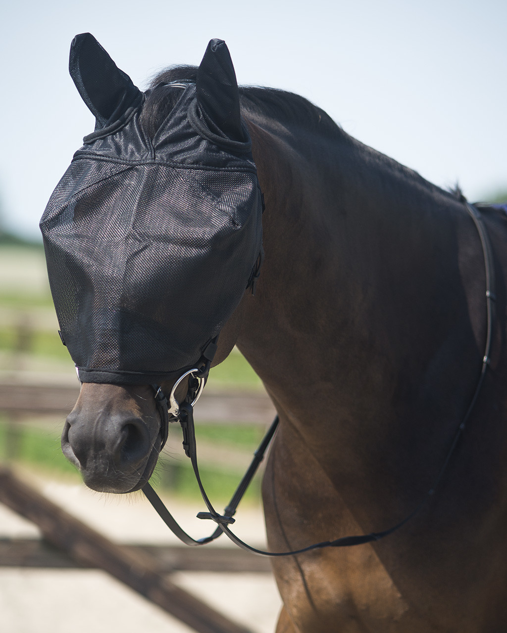 Riding fly mask with ears
