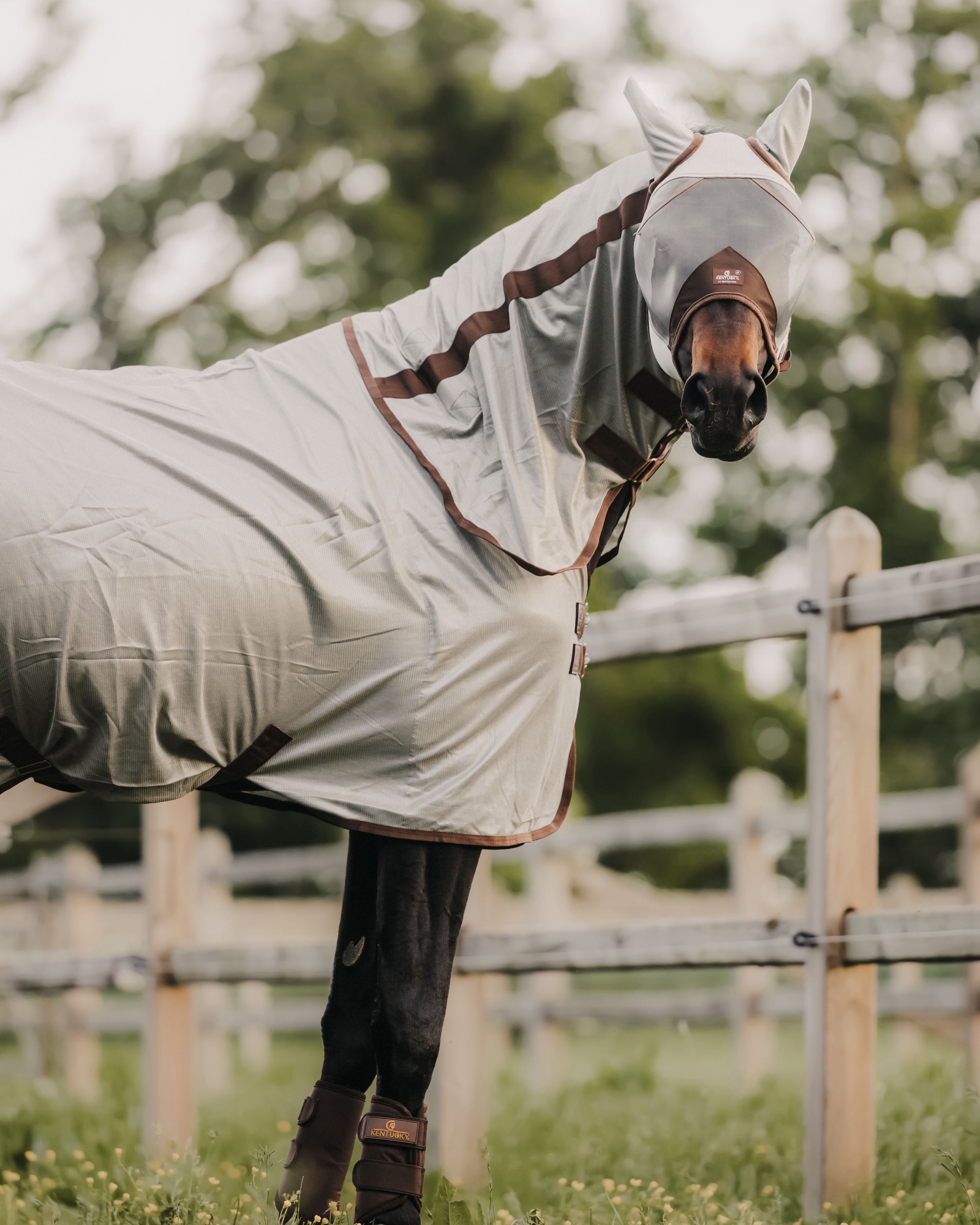 Mesh Classic fly rug