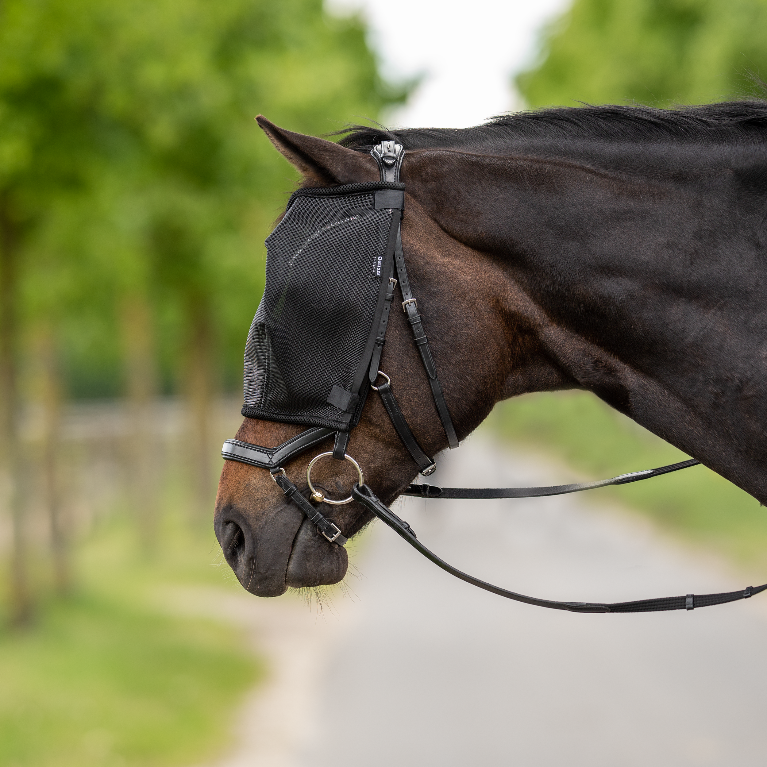Masque anti-mouches Riding